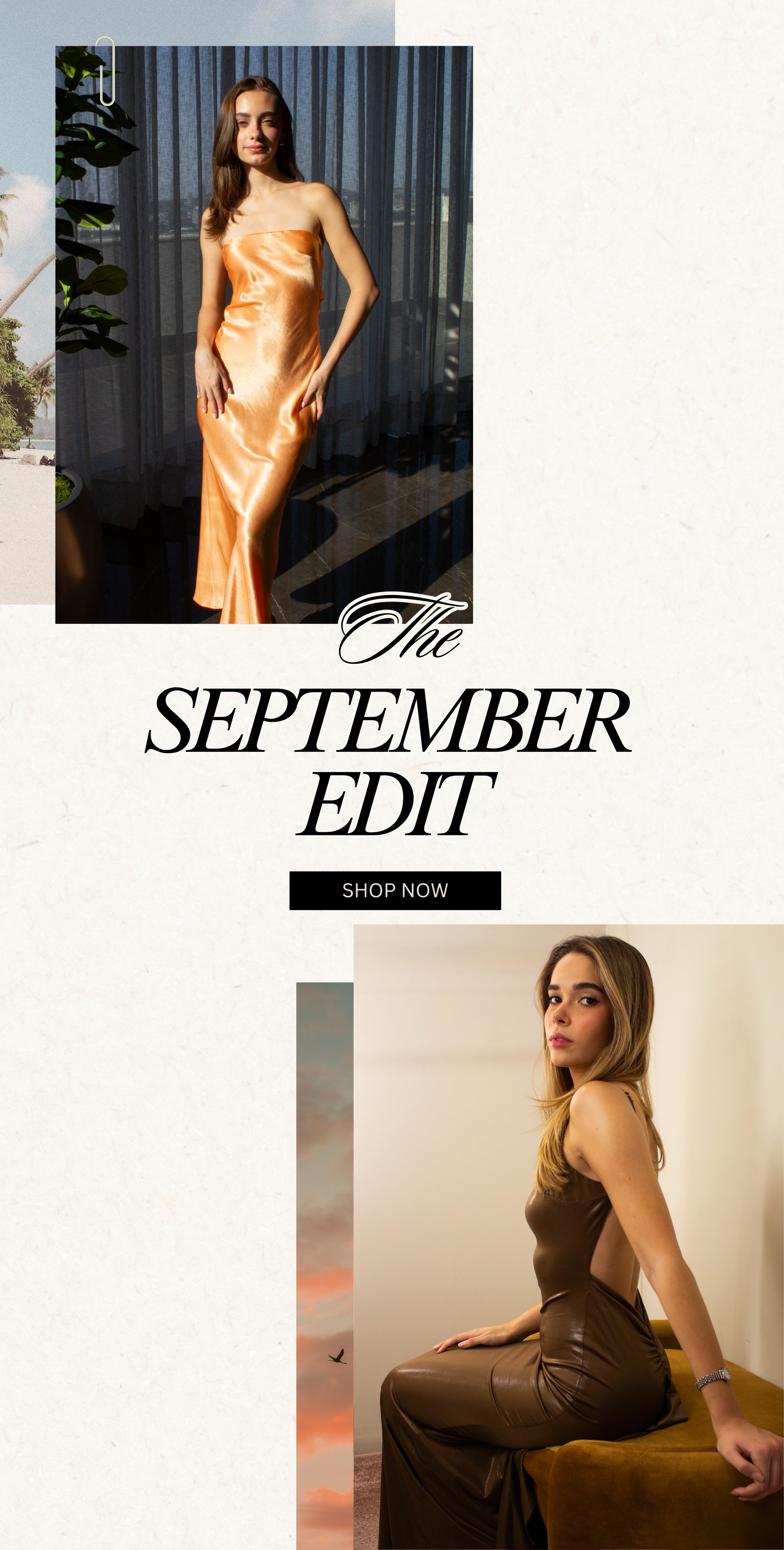 pre-sale_15.jpg